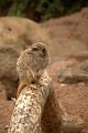 leipzig zoo-01_07_2011_zoo_allgemein_301